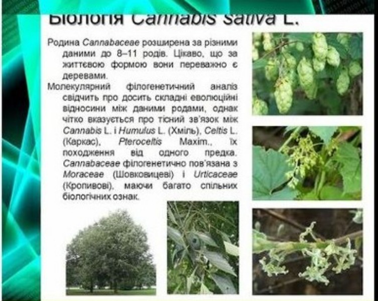 Лекція_3