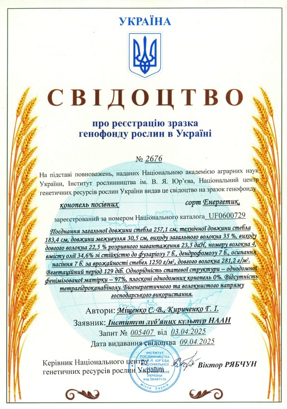 Енергетик1