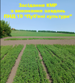 КМР_25_0