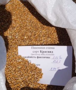 День_поля000