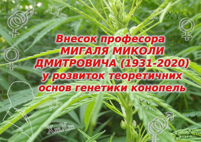 М_1